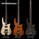 Electric Bass Guitars